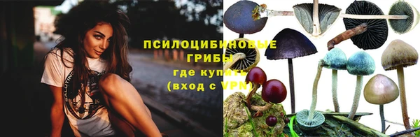 MESCALINE Гусь-Хрустальный