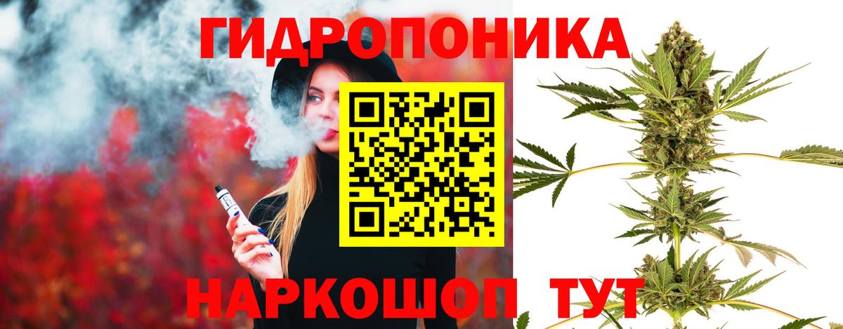 Канабис Bruce Banner  Бошки Шишки SATIVA & INDICA  Вход с VPN  МАРИХУАНА семена  Подольск 